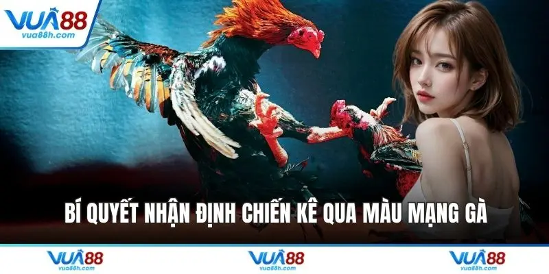 Bí quyết nhận định chiến kê qua màu mạng gà