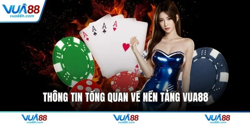 Thông tin tổng quan về nền tảng VUA88